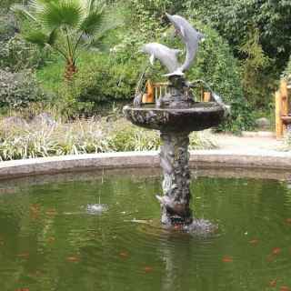 Ботанический сад Батуми photo