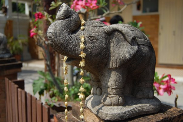 Любимый слоник из одного из храмов Чианг Мая.