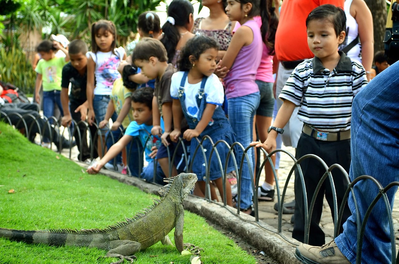 Детишки и зверюшки в парке Гуаякиля.