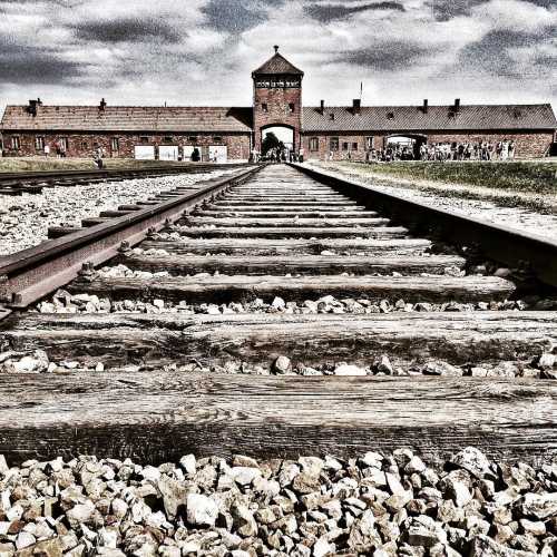 Освенцим photo