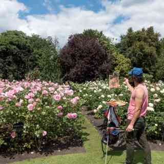 Queen Mary's gardens photo