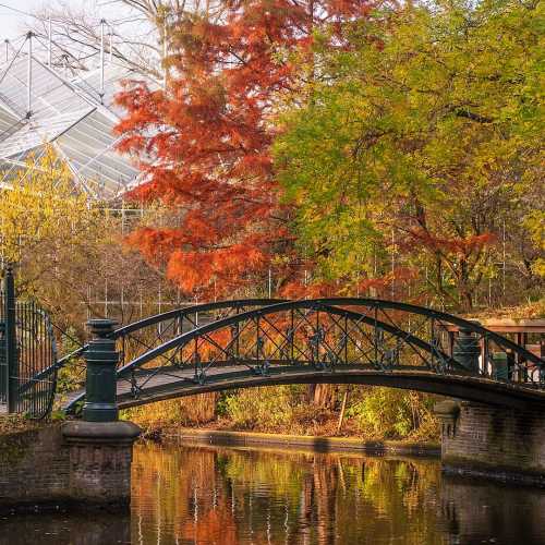 Ботанический сад Амстердама, Нидерланды