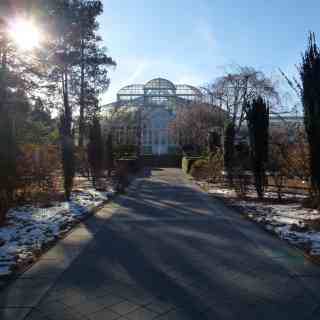 New York Botanical Garden photo