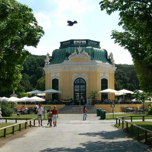 Tiergarten Schönbrunn photo