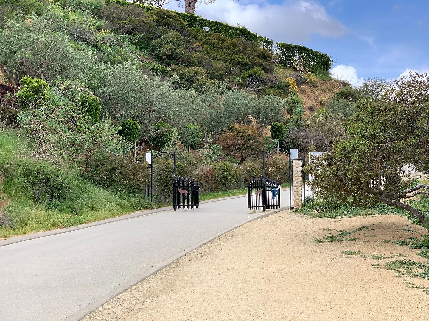 By Crishazzard - Own work,https://hikingguy.com/hiking-trails/best-la-hikes/runyon-canyon-hike-directions/, CC BY-SA 4.0, https://commons.wikimedia.org/w/index.php?curid=78772444