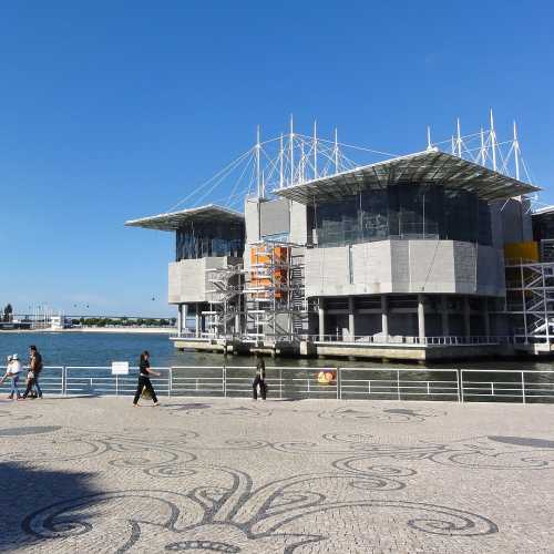Lisbon Oceanarium photo