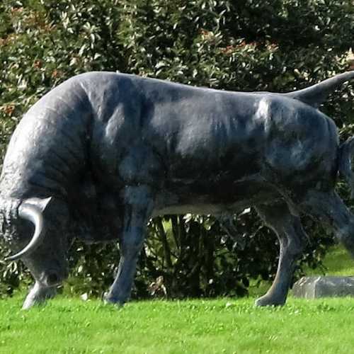 Brown Bull of Cooley