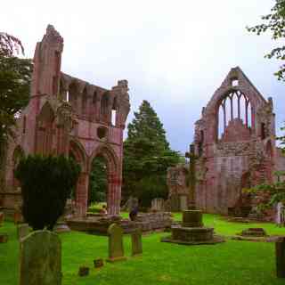 Dryburgh Abbey photo