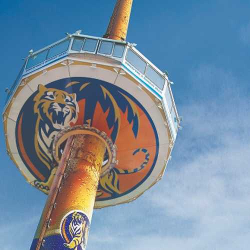 Tiger Sky Tower  photo