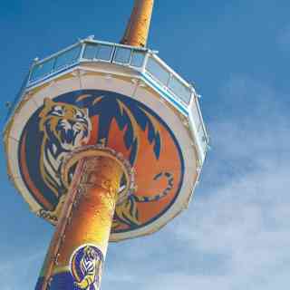 Tiger Sky Tower  photo