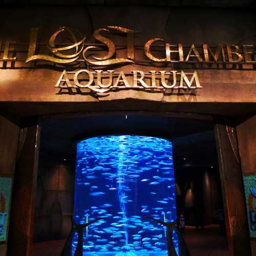 Lost Chambers Aquarium photo