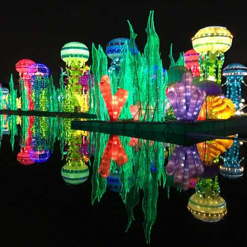 Dubai Garden Glow photo