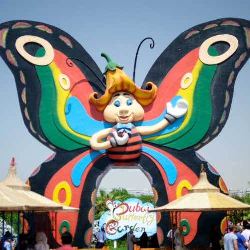 Dubai Butterfly Garden photo