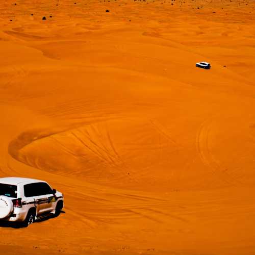 Desert Safari photo