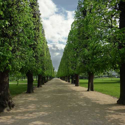 By RAYANDBEE from United Kingdom - AVENUE OF TREES, CC BY 2.0, https://commons.wikimedia.org/w/index.php?curid=16384351