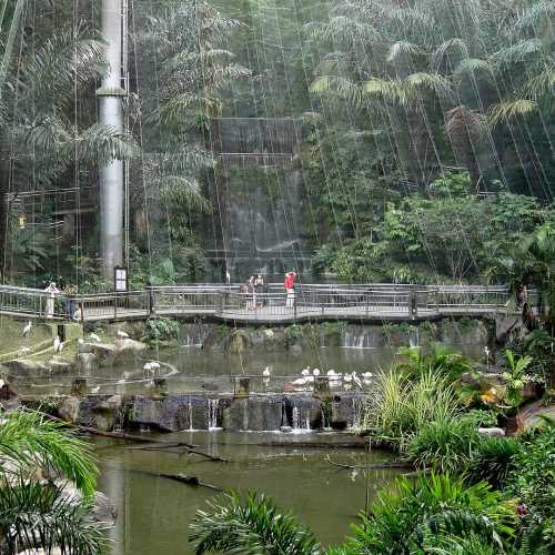 Kuala Lumpur Bird Park photo
