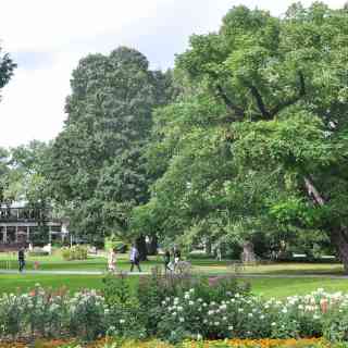 Верманский сад photo
