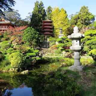 Japanese Tea Garden photo