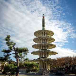 San Francisco Peace Pagoda photo