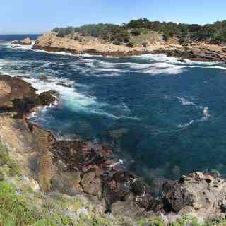 Point Lobos photo