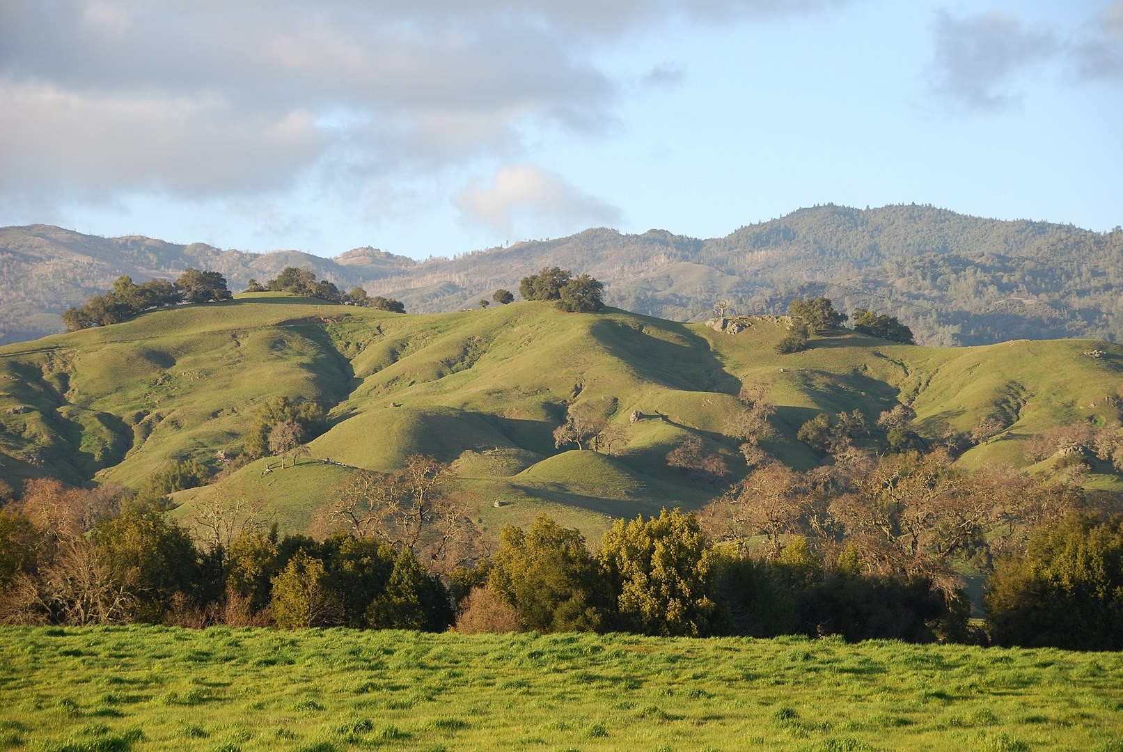 By nigelpepper - Rolling hills of the Napa valley, CC BY 2.0, https://commons.wikimedia.org/w/index.php?curid=8378030
