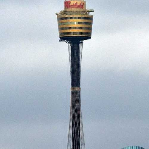By Larry Koester - File:Sydney_Tower_(6).jpg / https://www.flickr.com/photos/larrywkoester/46995019525/, CC BY 2.0, https://commons.wikimedia.org/w/index.php?curid=95240171
