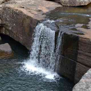 Dharawal National Park photo