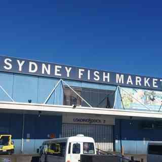 Sydney Fish Market photo