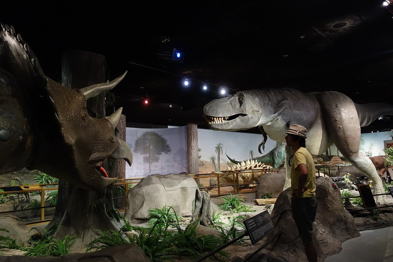By kennejima - Las Vegas Natural History Museum, CC BY 2.0, https://commons.wikimedia.org/w/index.php?curid=59796741