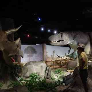 Las Vegas Natural History Museum photo