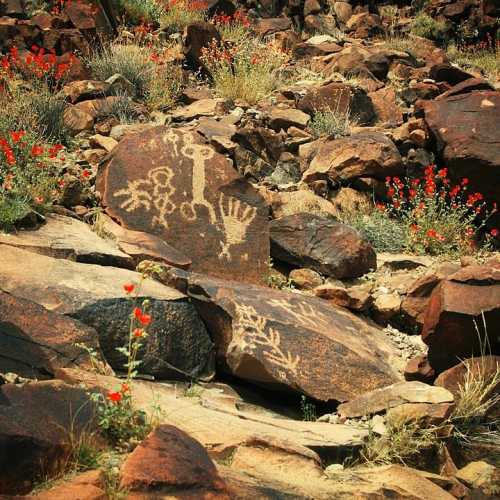 By BLM Nevada - Rock Art Symbols from Somewhere in Time, CC BY 2.0, https://commons.wikimedia.org/w/index.php?curid=46415748