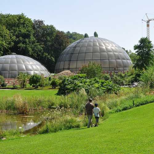 Botanical Garden of the University of Zurich