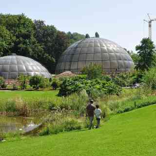 Botanical Garden of the University of Zurich photo