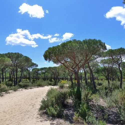 Doñana National Park photo