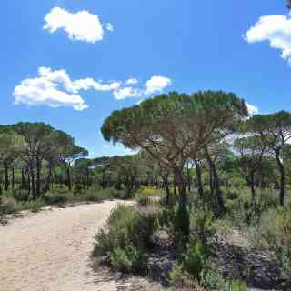Doñana National Park