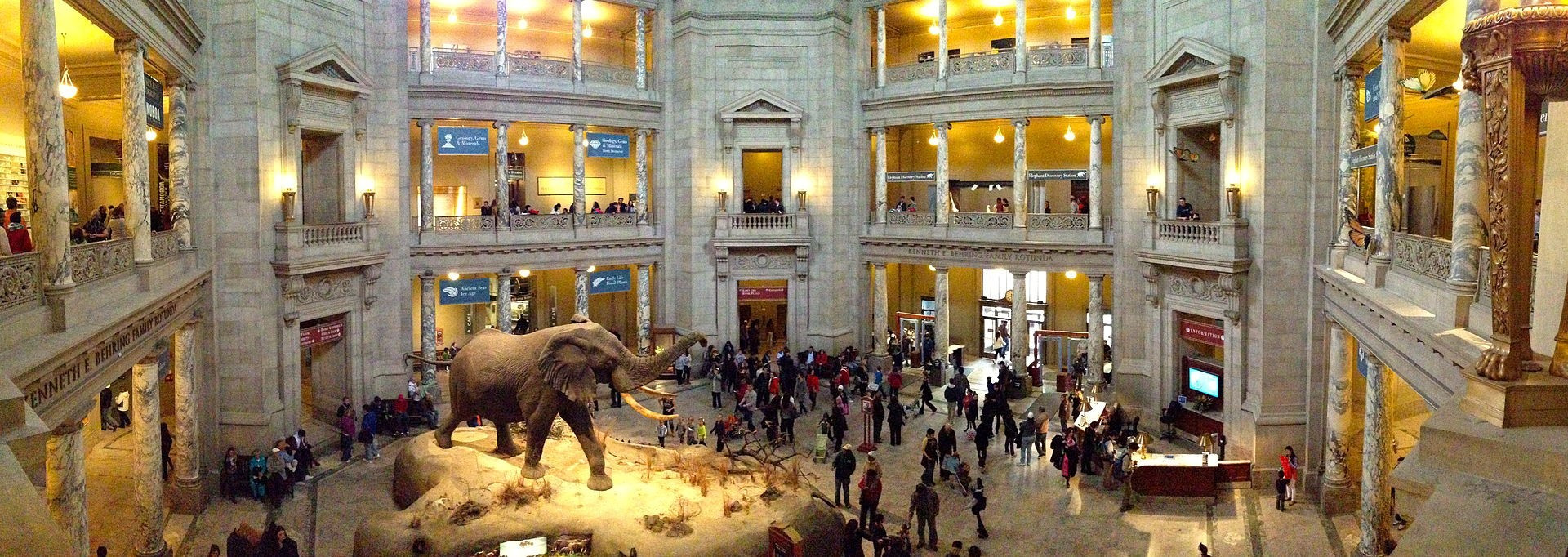 By Blake Patterson - Flickr: Natural Museum of Natural History in DC, CC BY 2.0, https://commons.wikimedia.org/w/index.php?curid=24910362