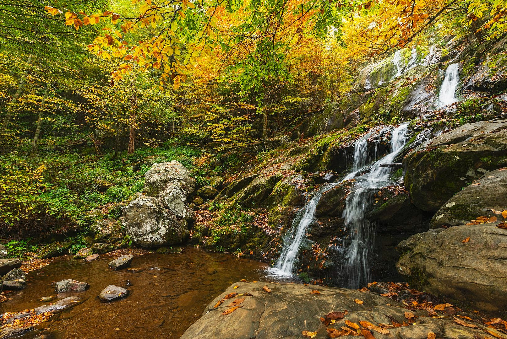 By Shenandoah National Park from Virginia - Early Fall at Dark Hollow Falls, Public Domain, https://commons.wikimedia.org/w/index.php?curid=45094938