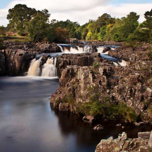 Low Force photo