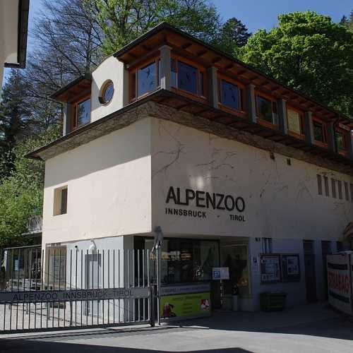 Alpenzoo Innsbruck photo