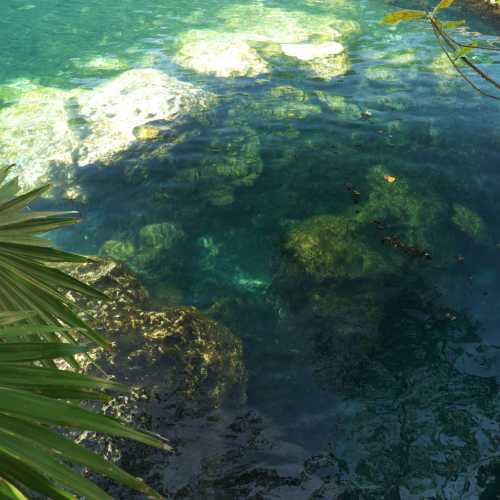 Cenote Caracol photo