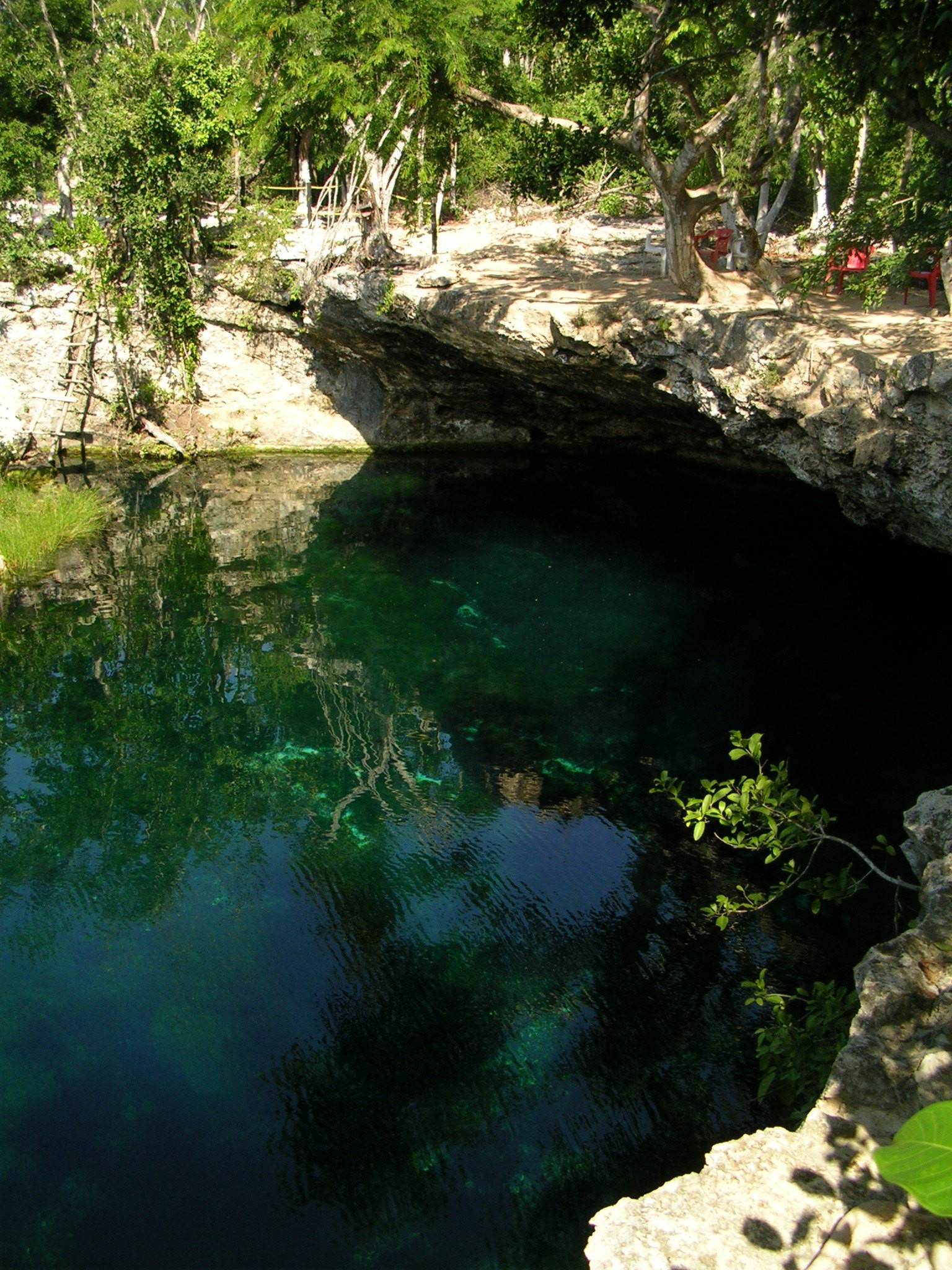 Cenote Jardin del Eden, Mexico