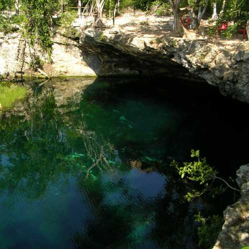 Cenote Jardin del Eden photo