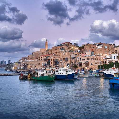 Jaffa Port photo