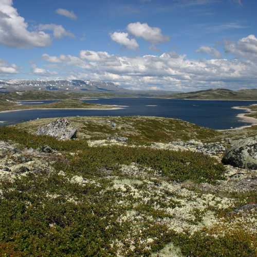 Hardangervidda National Park, Norway