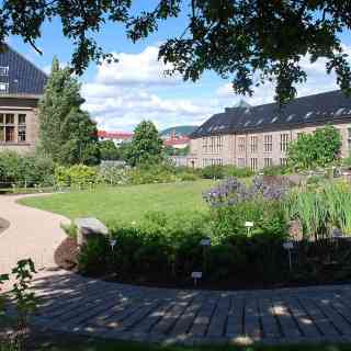 University Botanical Garden of Oslo photo