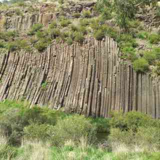 Organ Pipes National Park photo