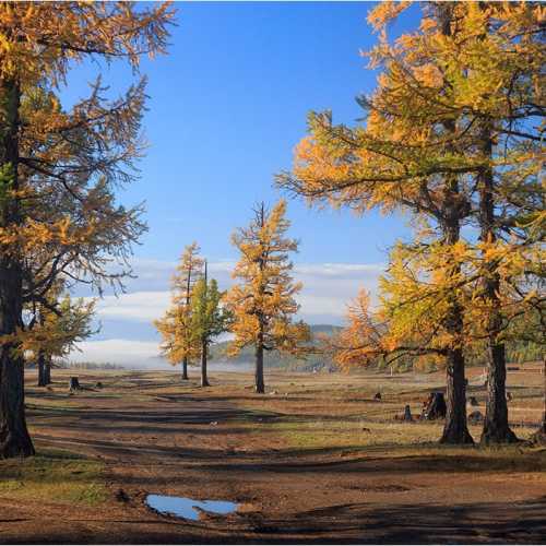 Осень в северной Монголии