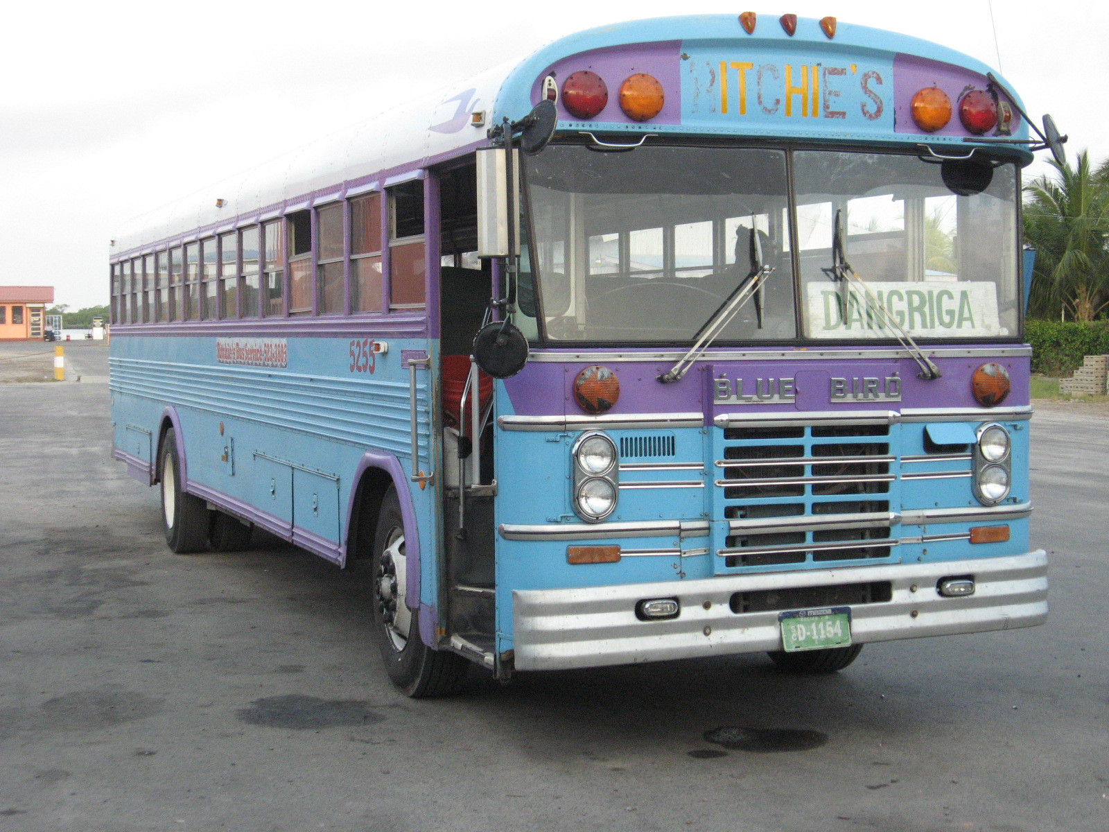 Belizean bus
