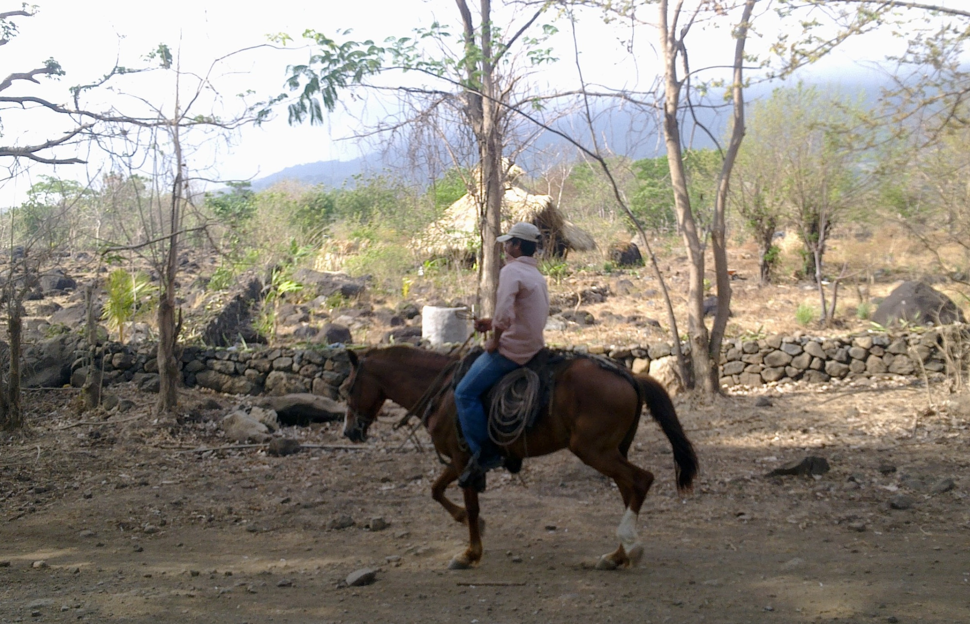 cowboy («El Jardin de La Vida»,<br/>
Ometepe Island, Nicaragua)