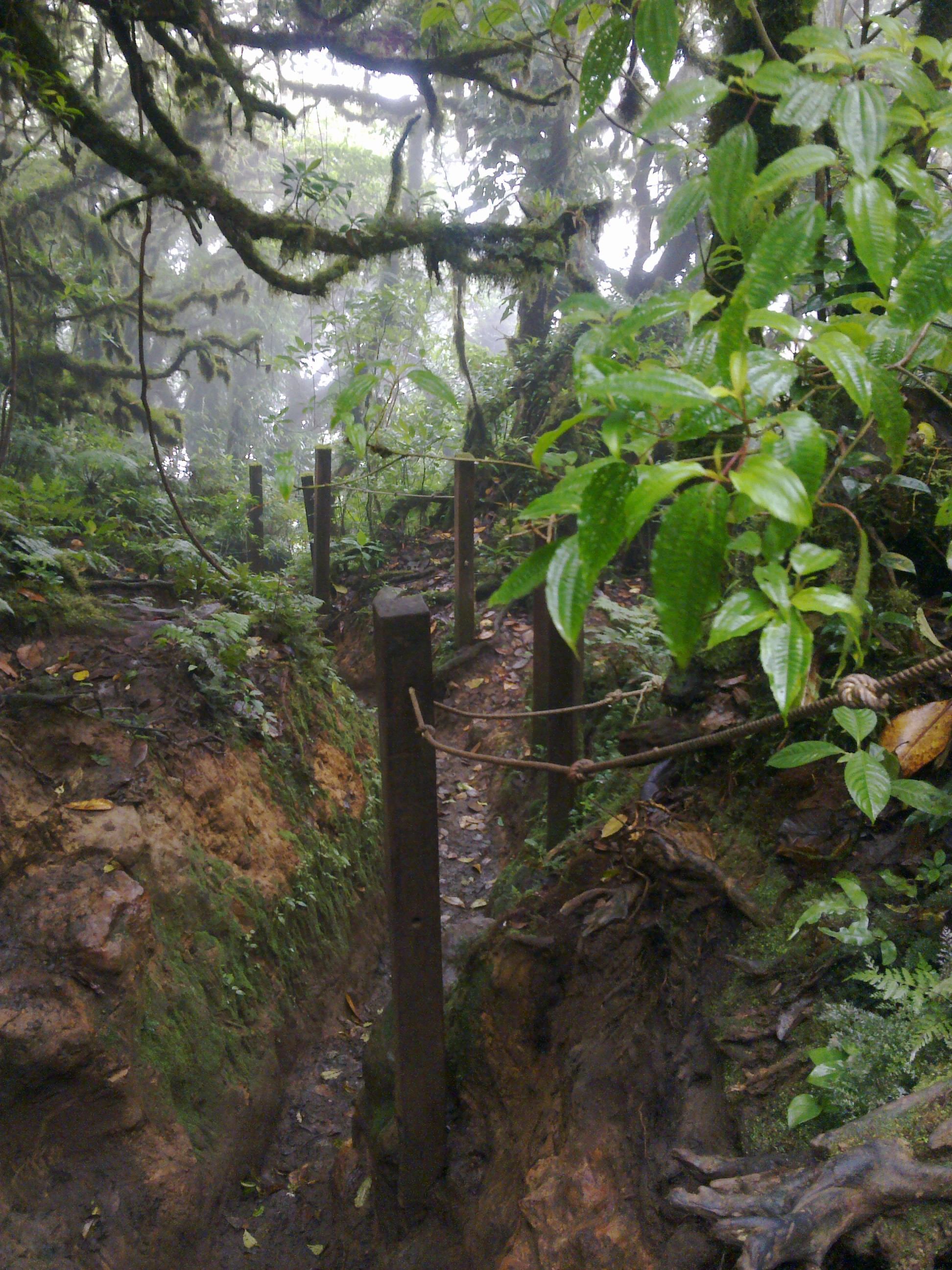 Climbing the volcano Madera (Ometepe Island, Nicaragua)